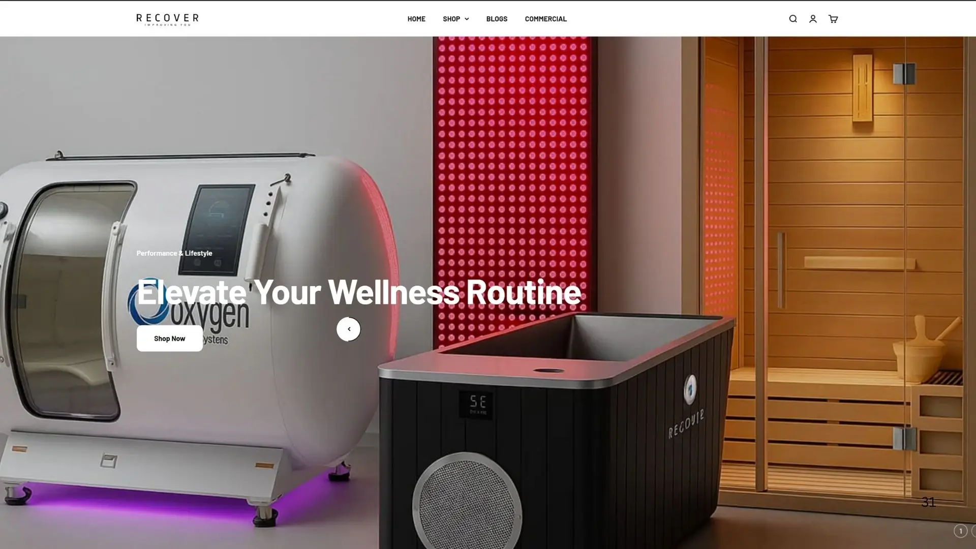 Recover Ecommerce SEO